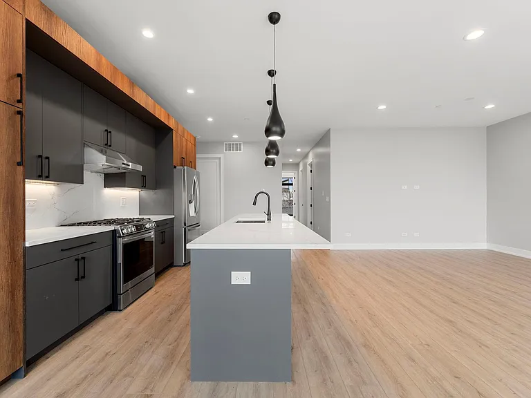 1718 S Halsted St #301 — Photo 9