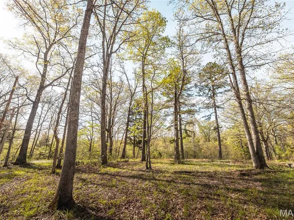 11733 Sutton Rd, Belgrade, MO 63622