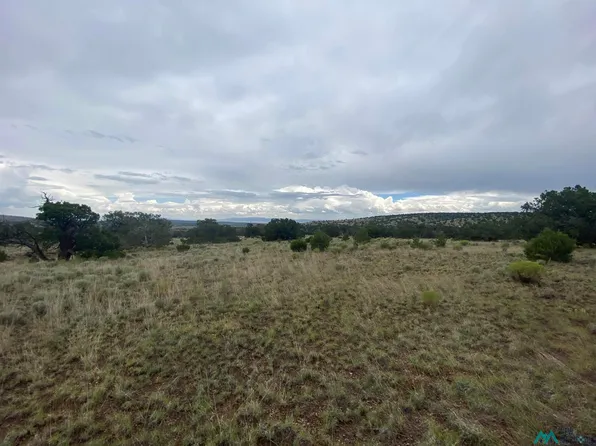 76 Wildwood Loop, Datil, NM 87821