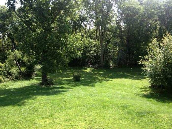 Private backyard