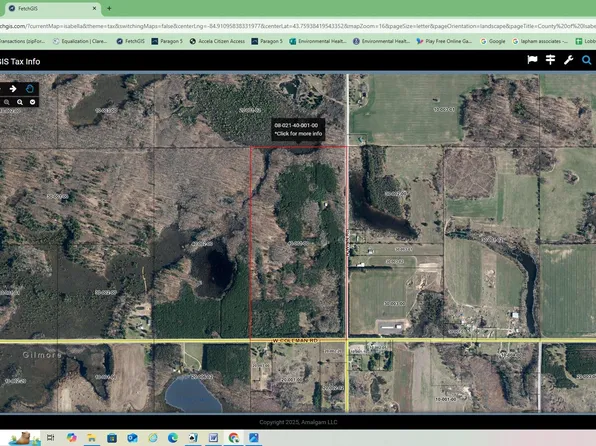 8601 N Winn Rd, Farwell, MI 48622