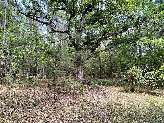 4th image of Calhoun 50 Rd