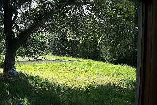 Country In Town: 1.1 Acres of Meadow 