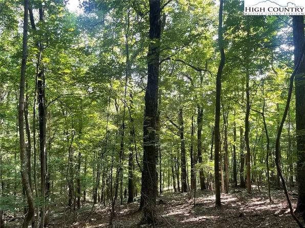 10 Fox Grape Lane, West Jefferson, NC 28694