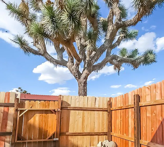 6446 Linda Lee Dr #C — Photo 11