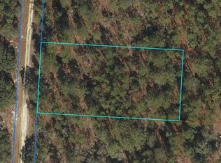 Tbd Se 142nd Ct, Morriston, FL 32668