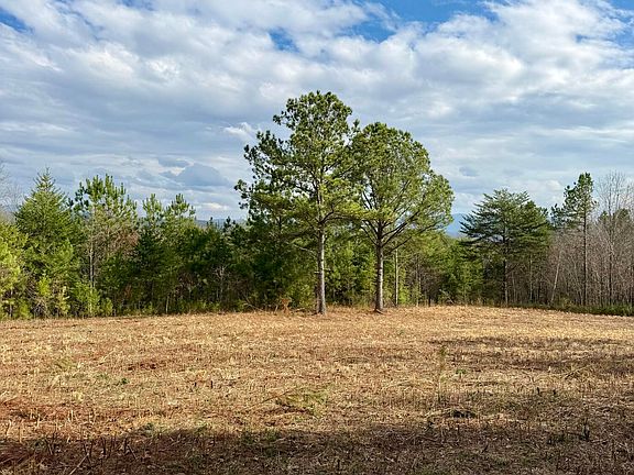 5th image of Lots 8 & 9 Curtis Rd