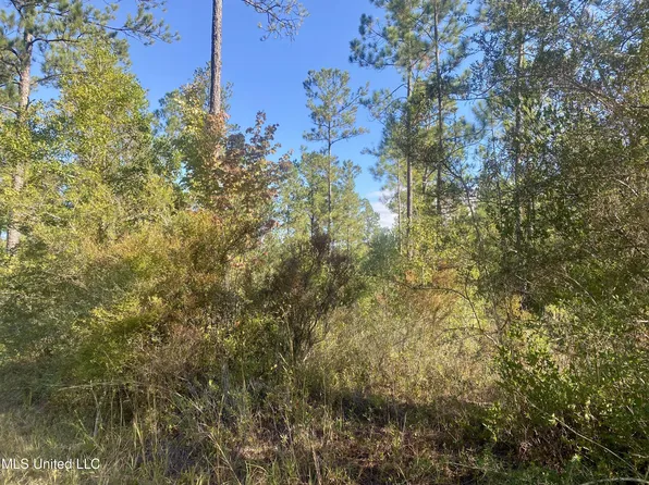 170 Deep Creek Rd, Wiggins, MS 39577