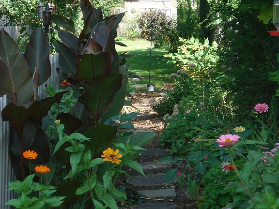 flower walk to the shed