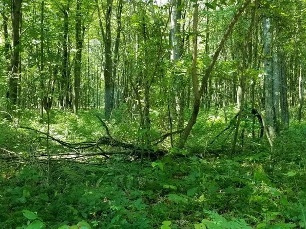 0 Tinker Ridge Rd, Ohiopyle, PA 15470