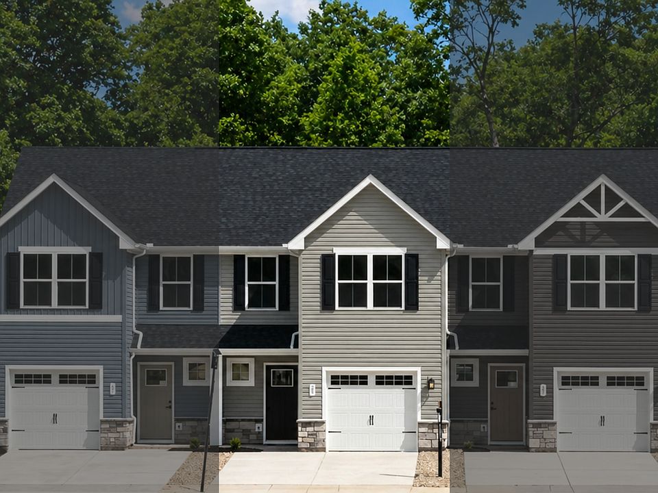 Poplar