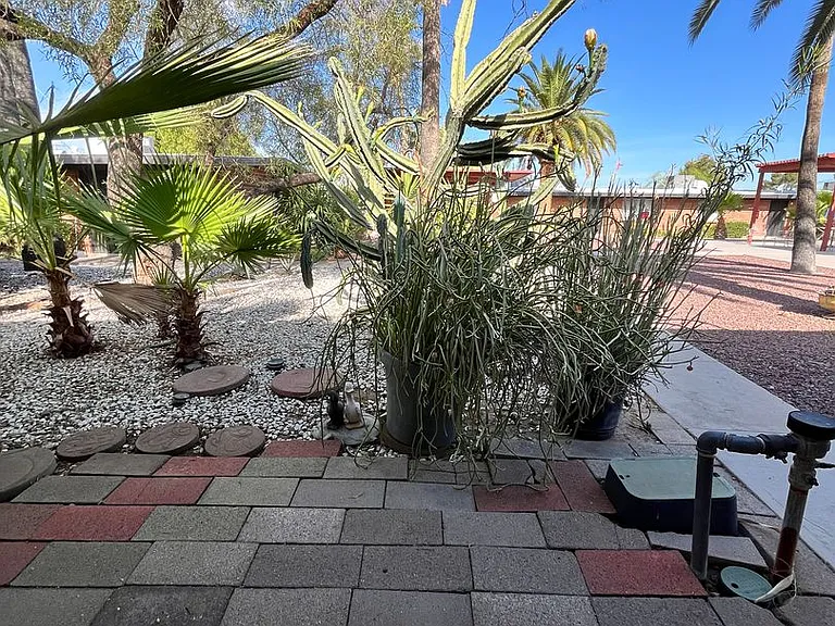 3627 E Lee St — Photo 20