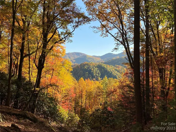 Lower Lot Big Pine Rd, Marshall, NC 28753