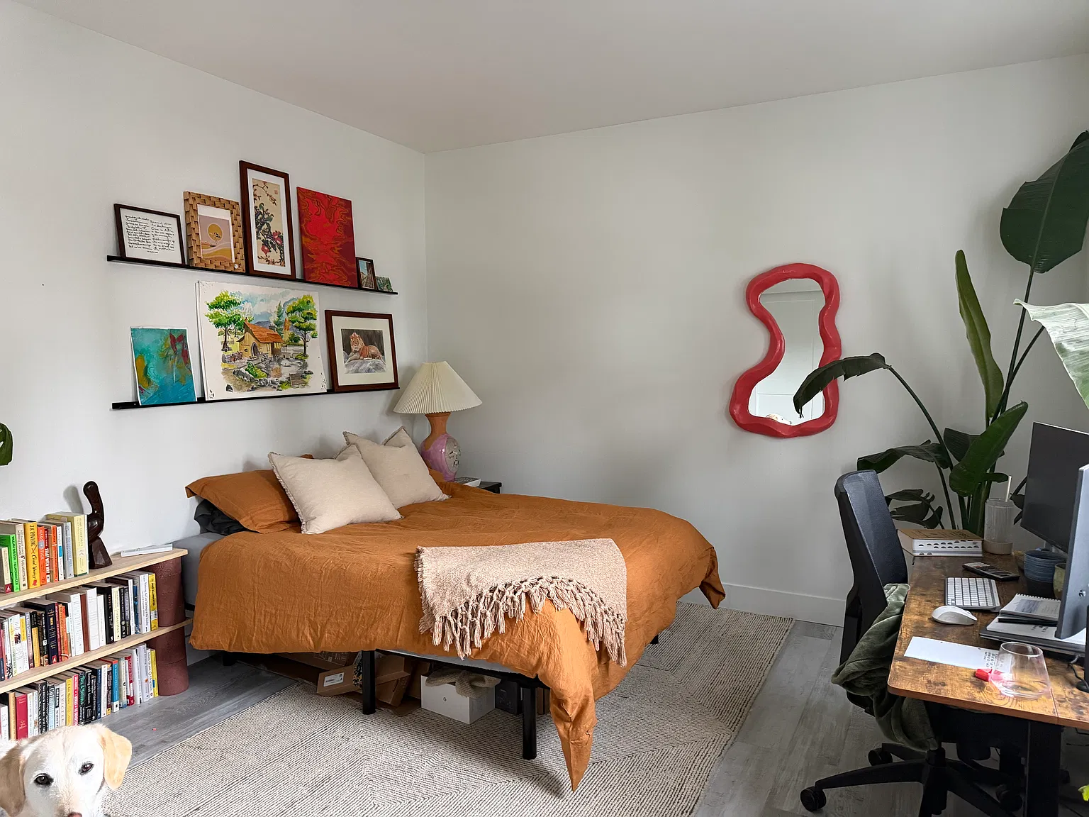 3 bed, 1784 sqft, $850 — Photo 4