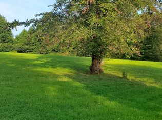 Blueberry Ln, Blue Ridge, GA 30513