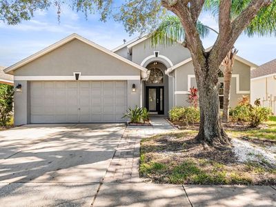 9822 Bayboro Bridge Dr, Tampa, FL, 33626