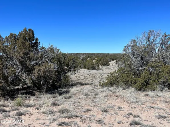 004A N 7204th, Saint Johns, AZ 85936