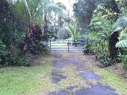 5th image of 13-1091 Malama St
