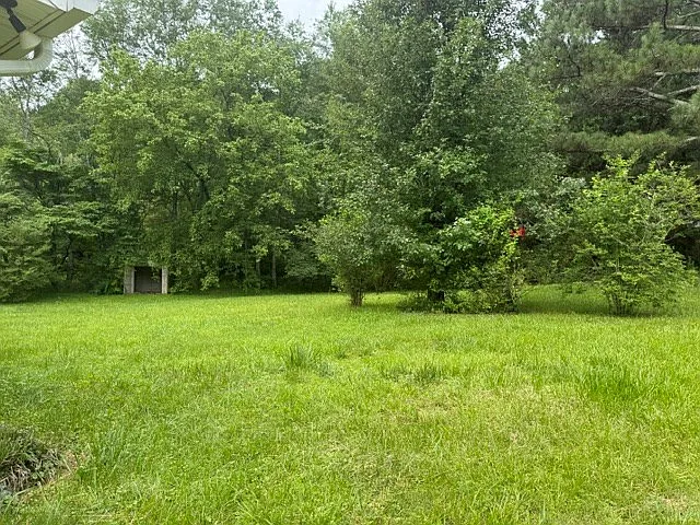 337 Burgess Rd — Photo 14