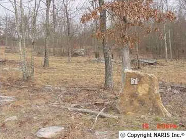 4235 Citadell Rock Rd NE, Fort Payne, AL 35967