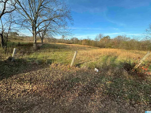 49295 State Highway 79 #0, Blountsville, AL 35031