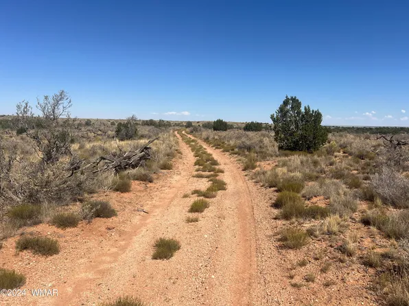 Six Mile Draw Rd, Snowflake, AZ 85937