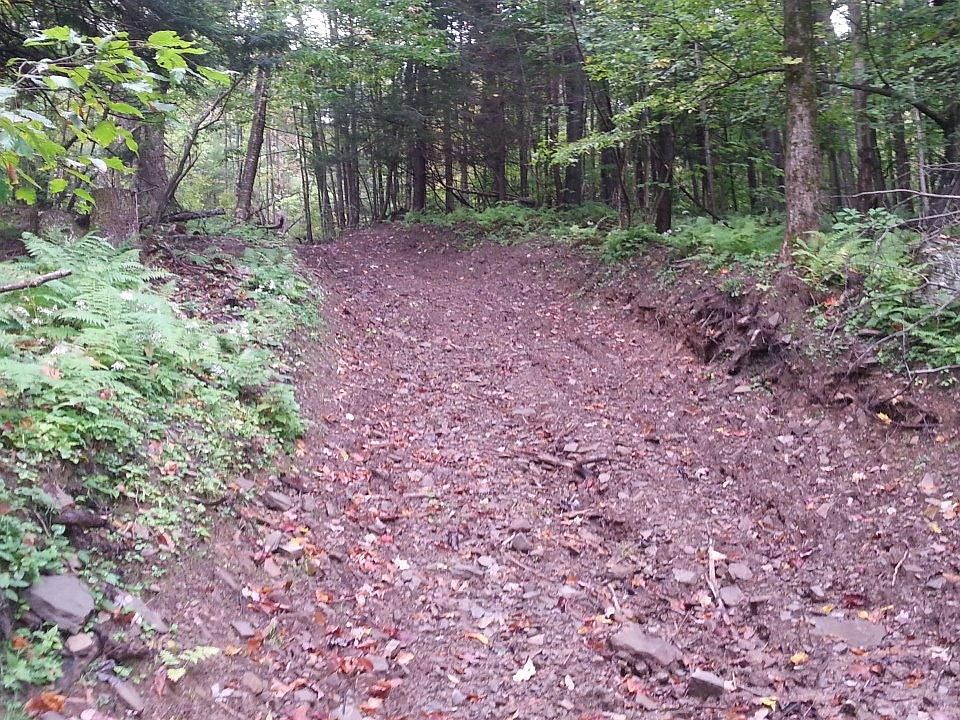 2nd image of 115 Schultz Rd