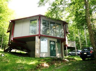 203 Spring Branch Rd, Banner Elk, NC 28604