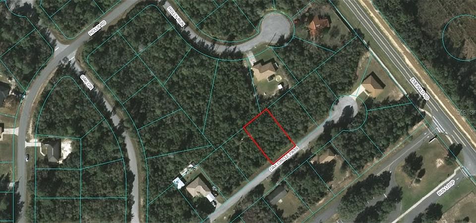 1st image of LOT 8 Package Olive Cir