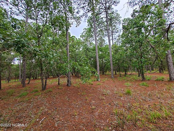 2nd image of 660 Madeira Islands Drive SE LOT 337