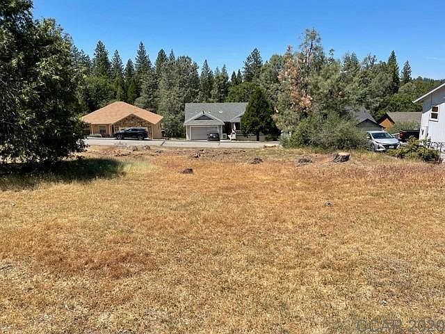 2nd image of 249 Lupine Ln