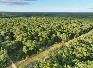 00-V/L W Mile Rd #10-1/2, Irons, MI 49644