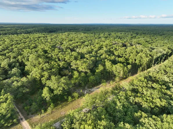 00-V/L W Mile Rd #10-1/2, Irons, MI 49644