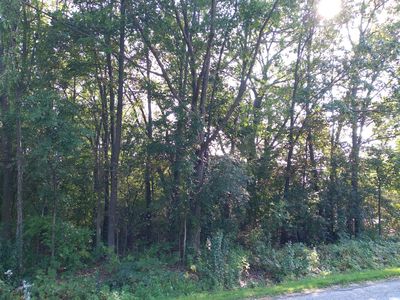 LT 120th St, Pleasant Prairie, WI, 53158