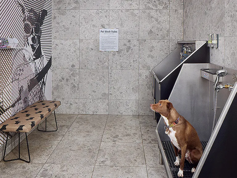 Apartment community pet spa at Griffis at Fiddler's Green in Centennial, Colorado.