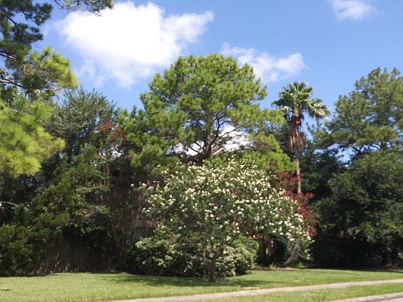 3rd image of 14703 Mesa Vista Dr