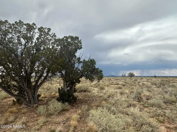 1224 E Valle Rd #8, Williams, AZ 86046