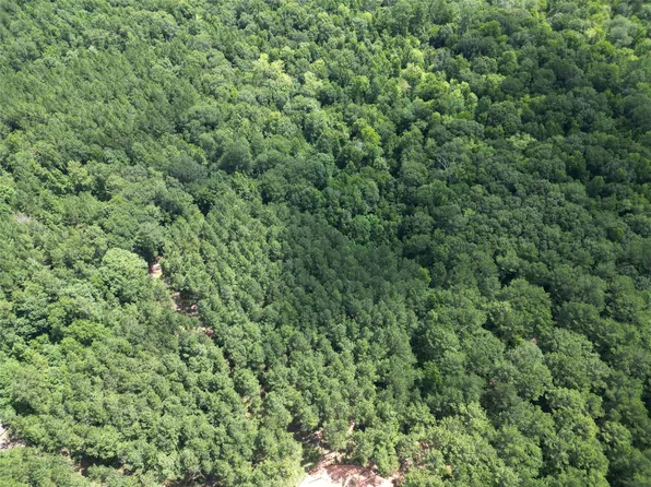 34 Caney Creek Dr, Huntsville, TX 77320