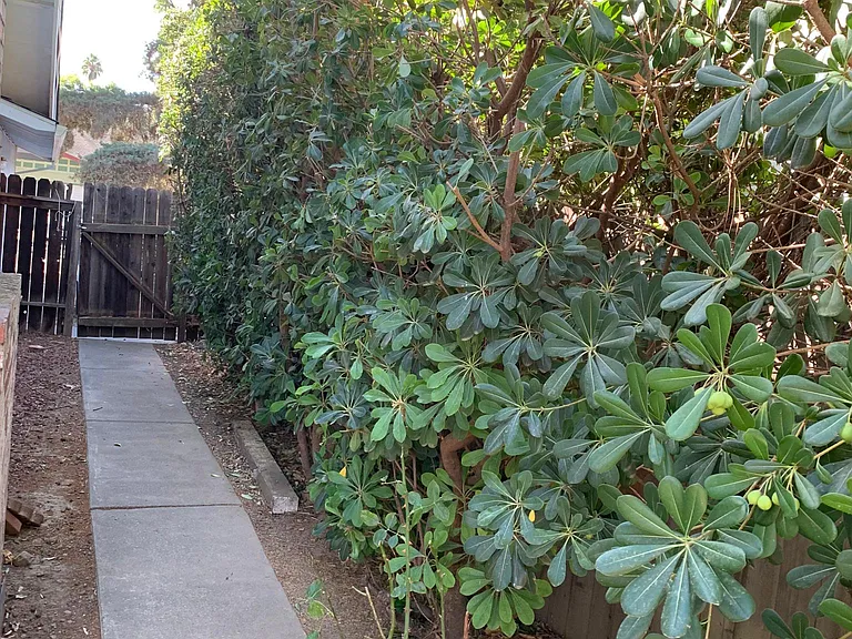 2823 Cascade Pl — Photo 20