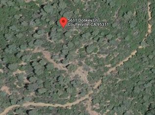 5611 Donkey Ln, Coulterville, CA 95311