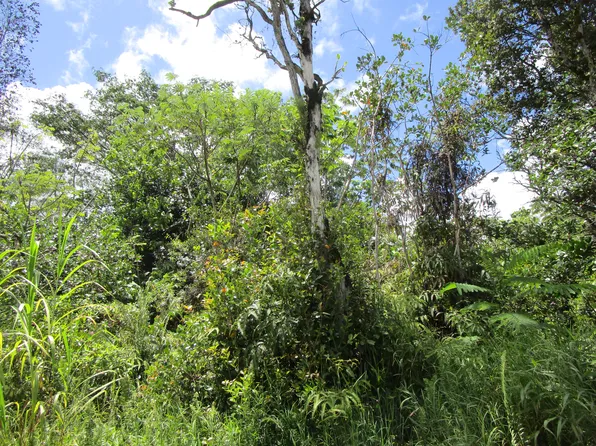 16-1358 35th Ave Lot 17, Kurtistown, HI 96760