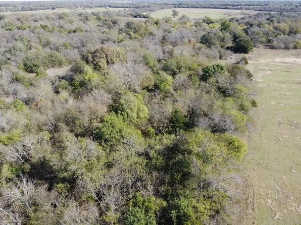 County Road 1082, Celeste, TX 75423