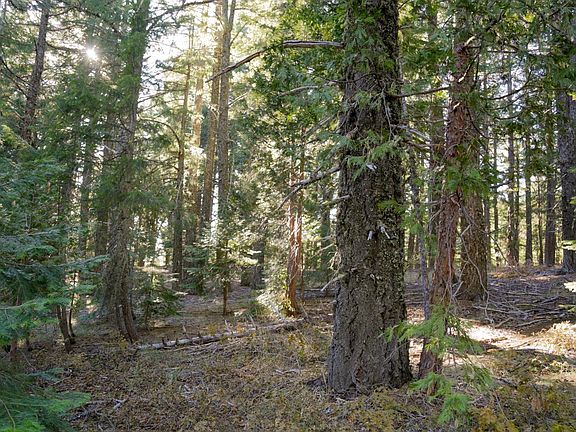 3rd image of 36 Mile Route Rd #1