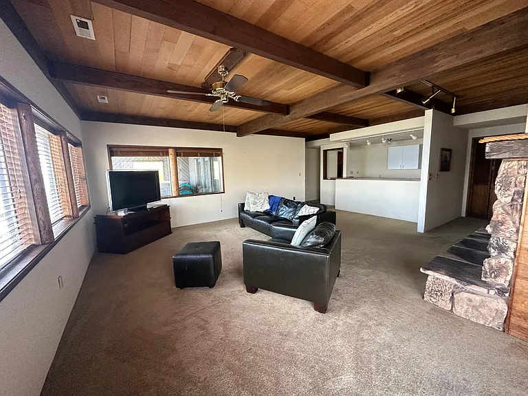 Basement Living Room