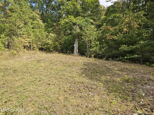 17 Saddleridge Dr, Speedwell, TN 37870