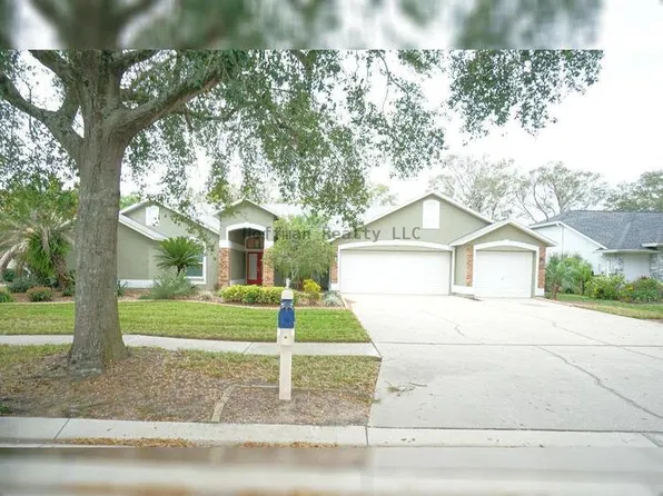 3807 Turkey Oak Dr, Valrico, FL 33596