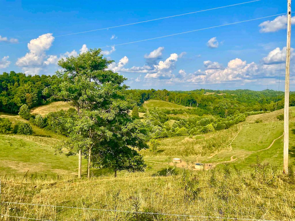 Real estate listing image