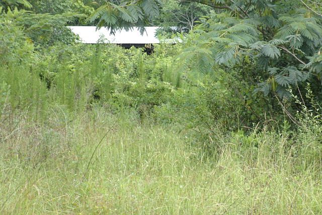 2nd image of 5460 John Franklin Rd