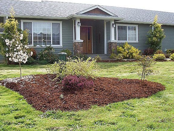 Small island of plants in front yard.