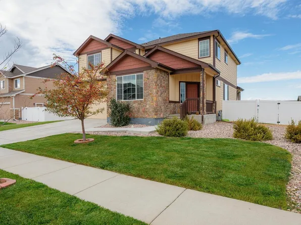 1205 Muskox St, Severance, CO 80550